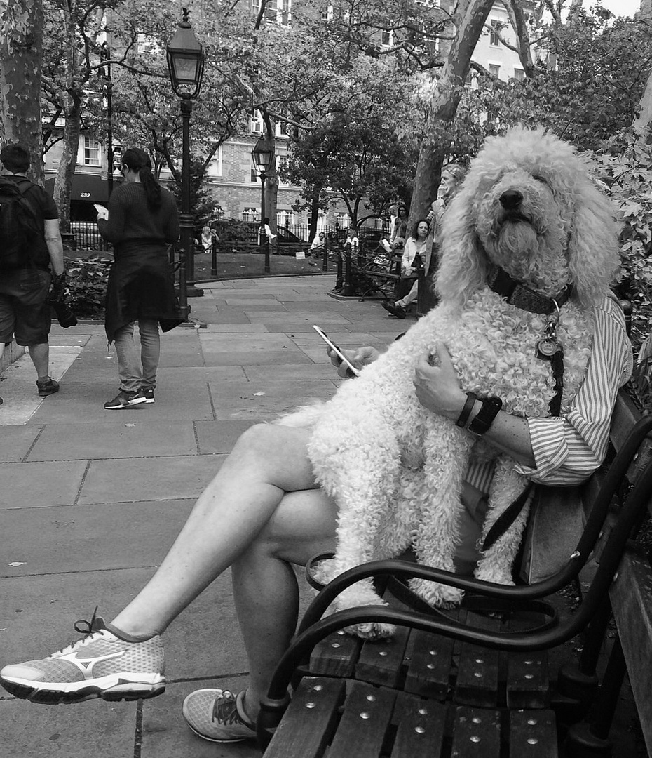 Washington Square Park