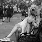 Washington Square Park