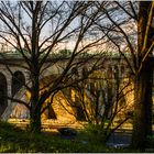 Washington's Key Bridge, Golden Hour, Early Spring