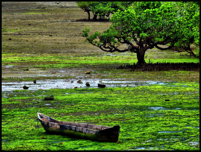 Wasini Island - Kenya