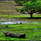 Wasini Island - Kenya