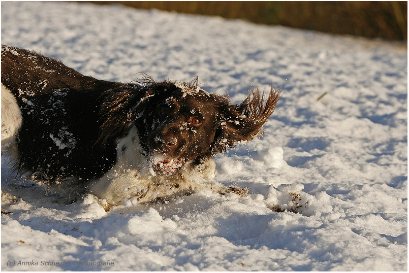 Was'ne Gaudi im Schnee