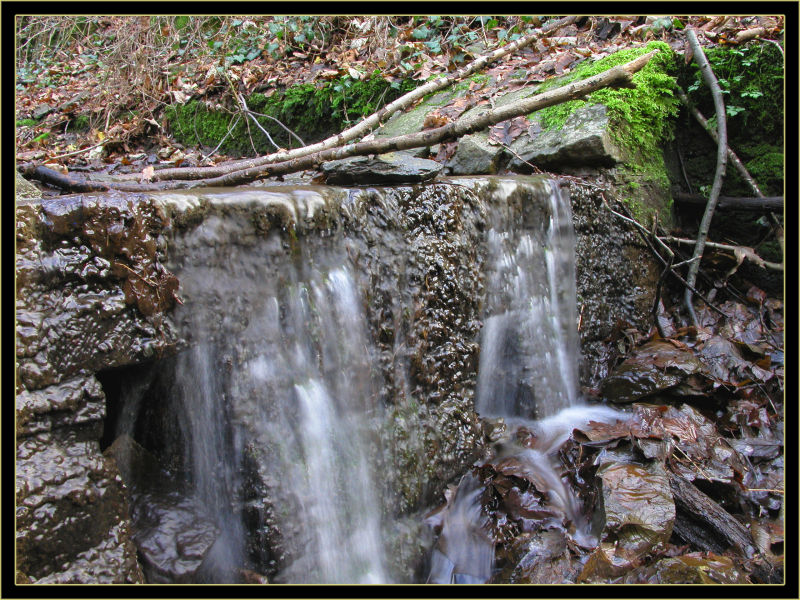 Wassefluss im Taunus