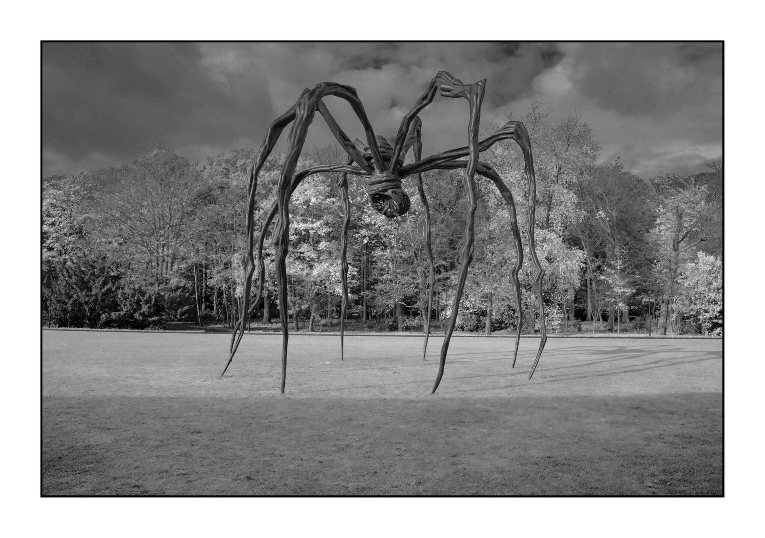 Wassenaar 2/5 Louise Bourgeois