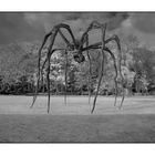 Wassenaar 2/5 Louise Bourgeois