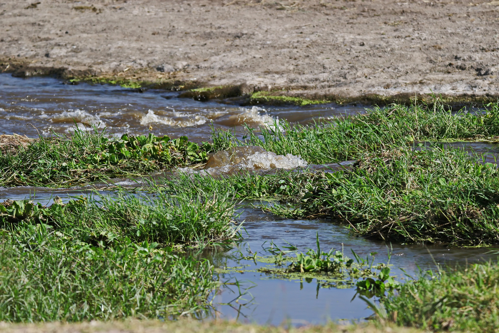 Wasser