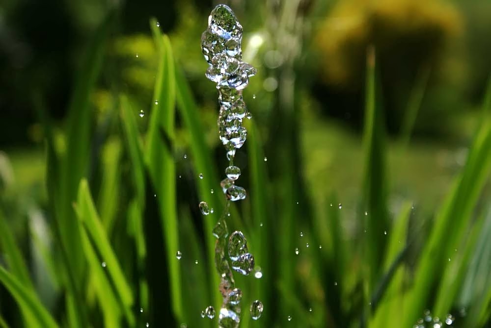 Wasser