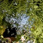 Wasser 1