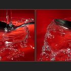 Wasser [3D]