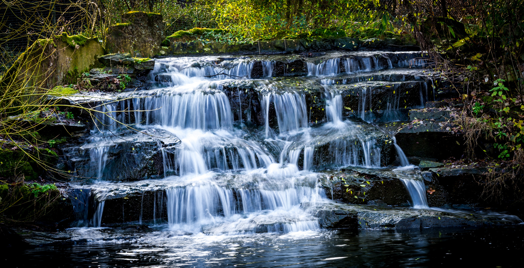 Wasser