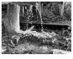 Wasser