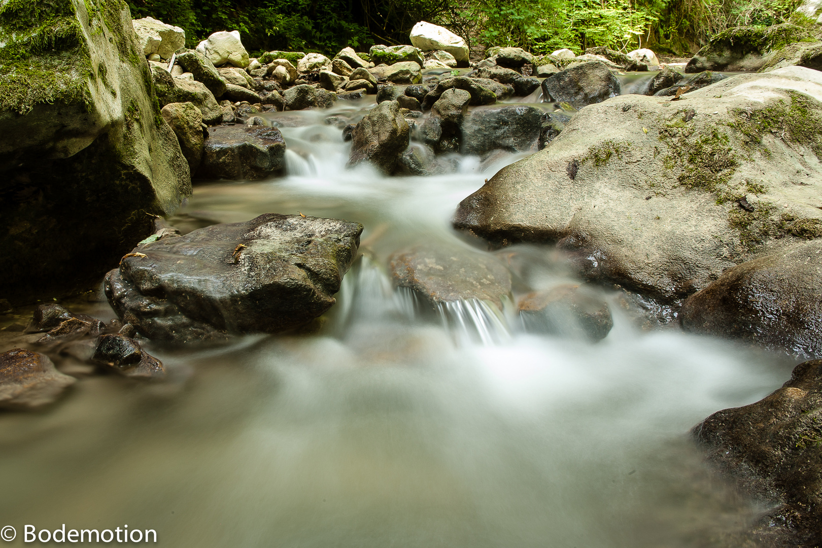 Wasser