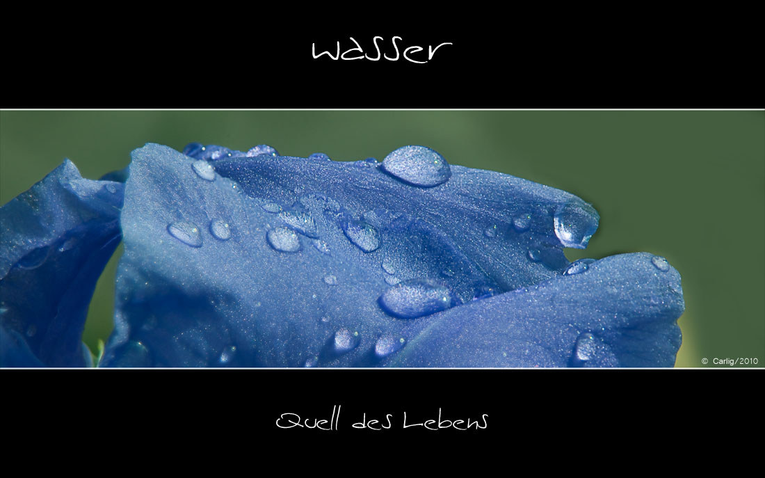 Wasser….