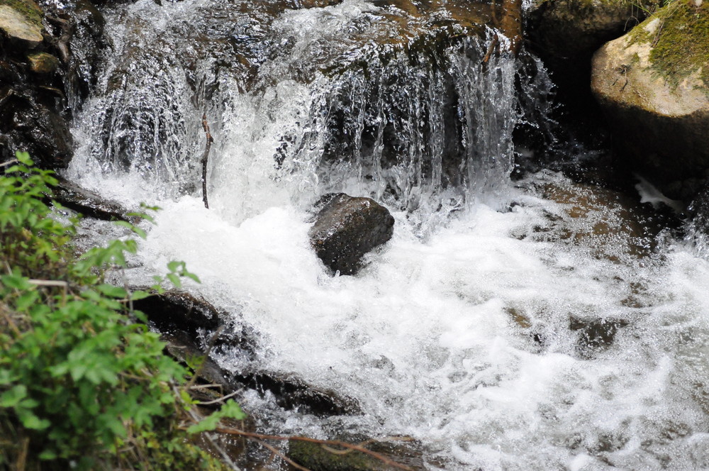 Wasser von Nitsch 