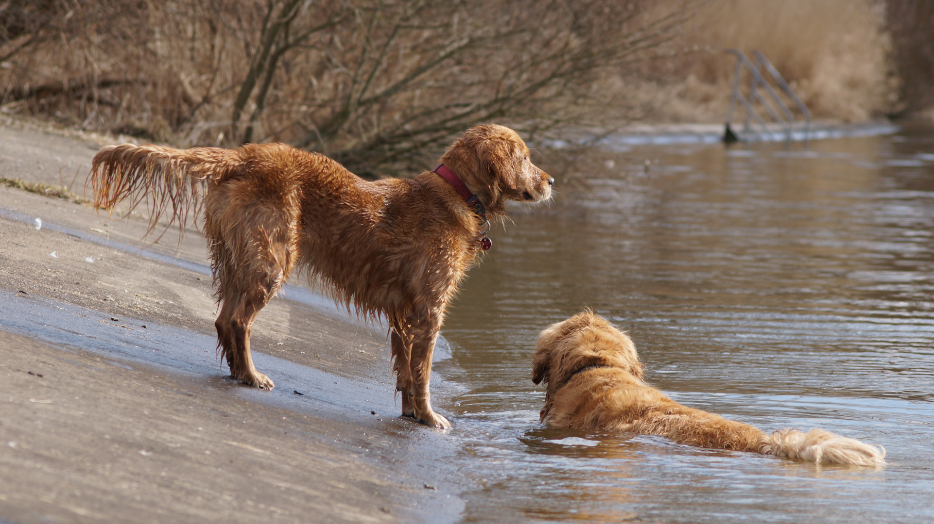 Wasser...