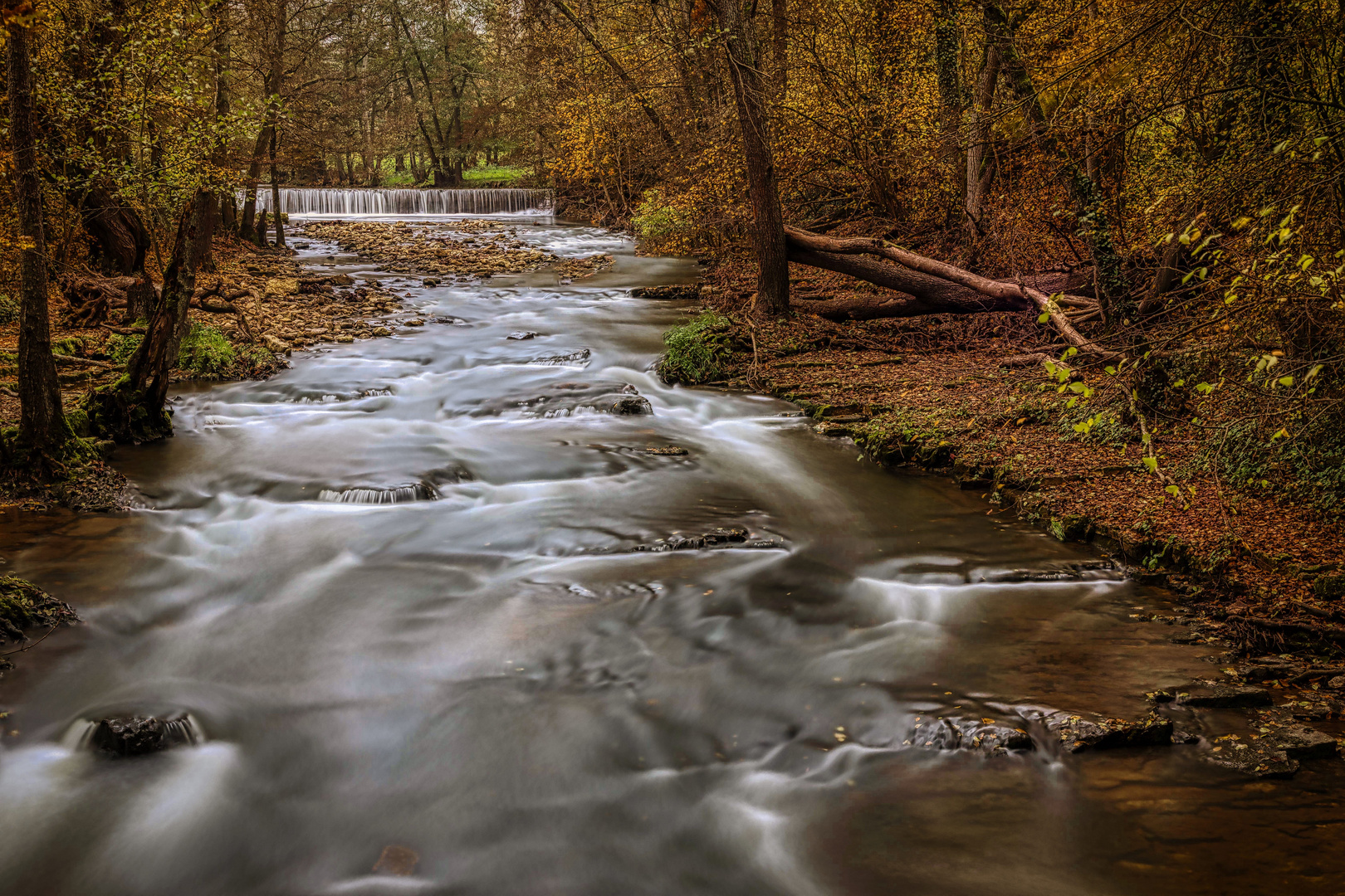 Wasser 