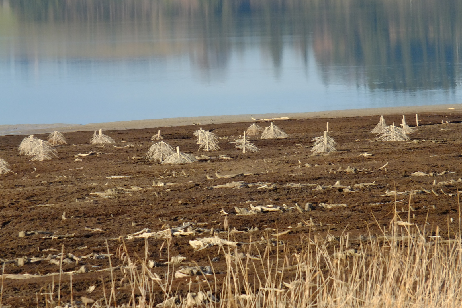 Wasser abgelassen