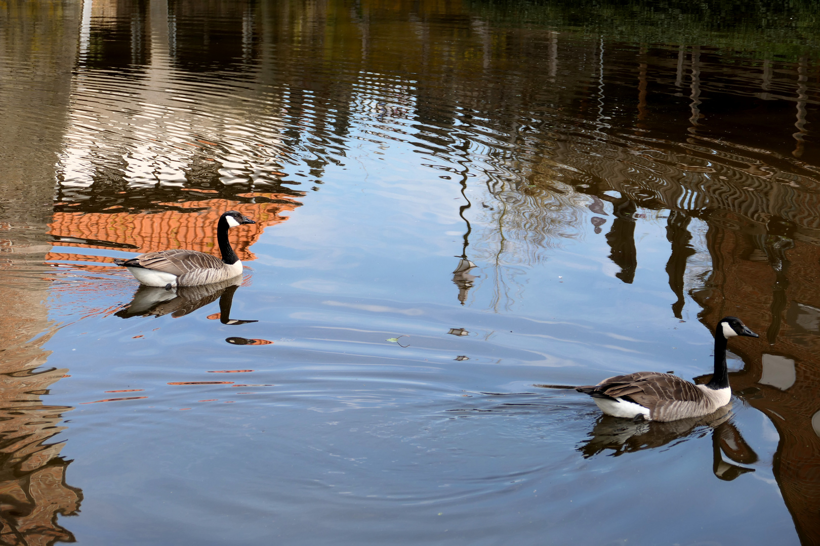 Wasser abstrakt?