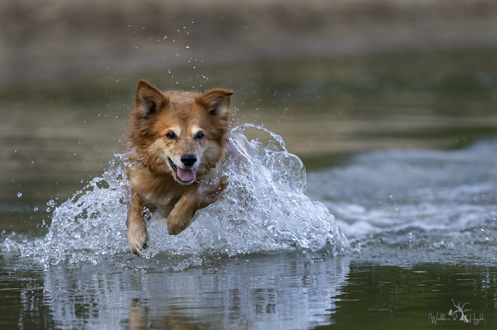 Wasser Action mit Paula