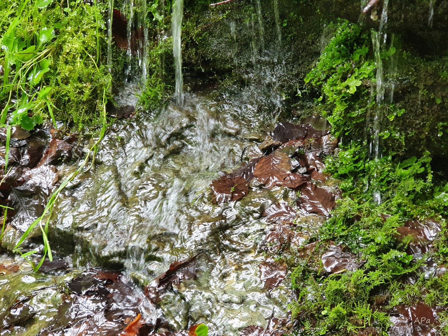 Wasser am Berghang