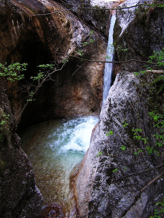 Wasser am Leben