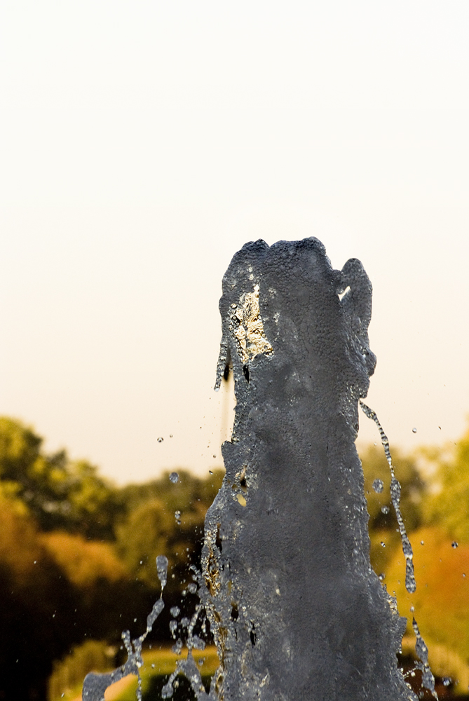 Wasser am Tiergarten