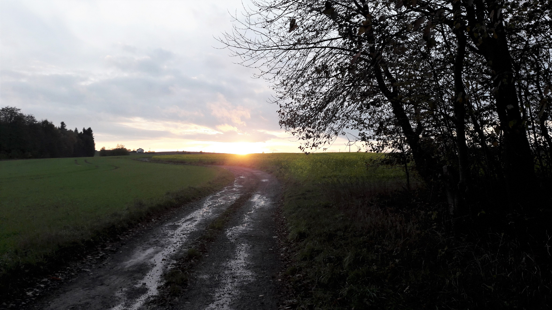 Wasser auf dem Wasserscheideweg  im Abendlicht