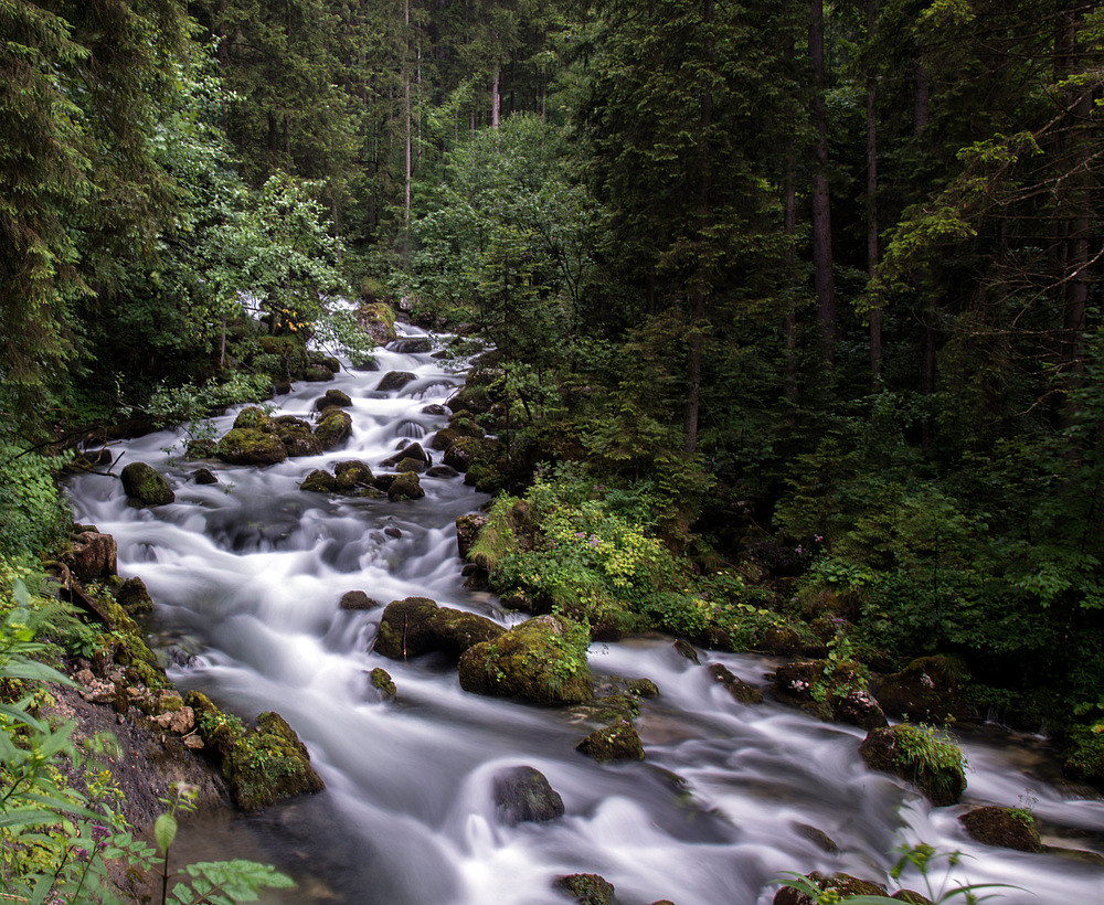 Wasser auf dem Weg in´s Tal - 2......