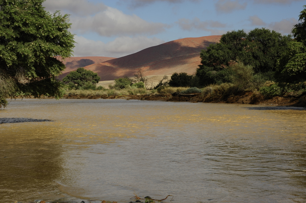 Wasser auf dem Weg nach Sossus vVlei