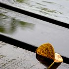 Wasser auf der Terrasse