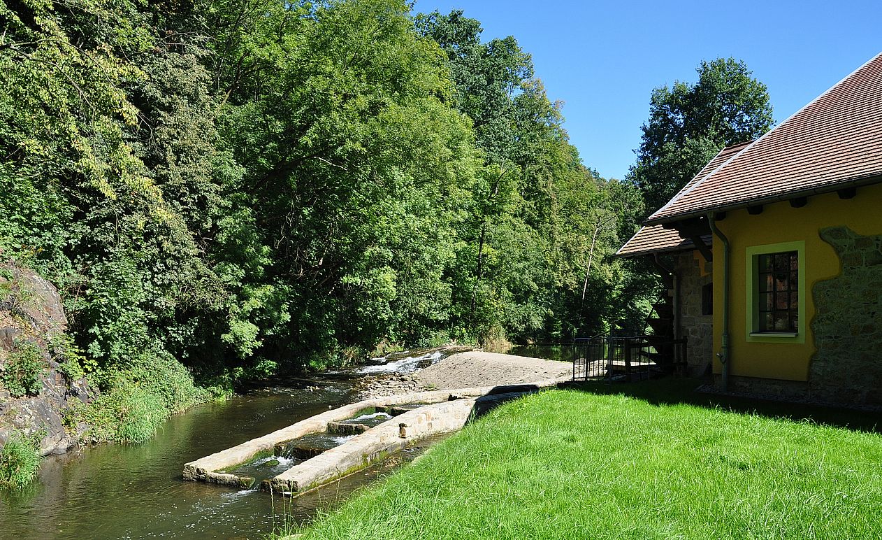 Wasser auf die Mühle