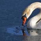 Wasser auf Eisfläche