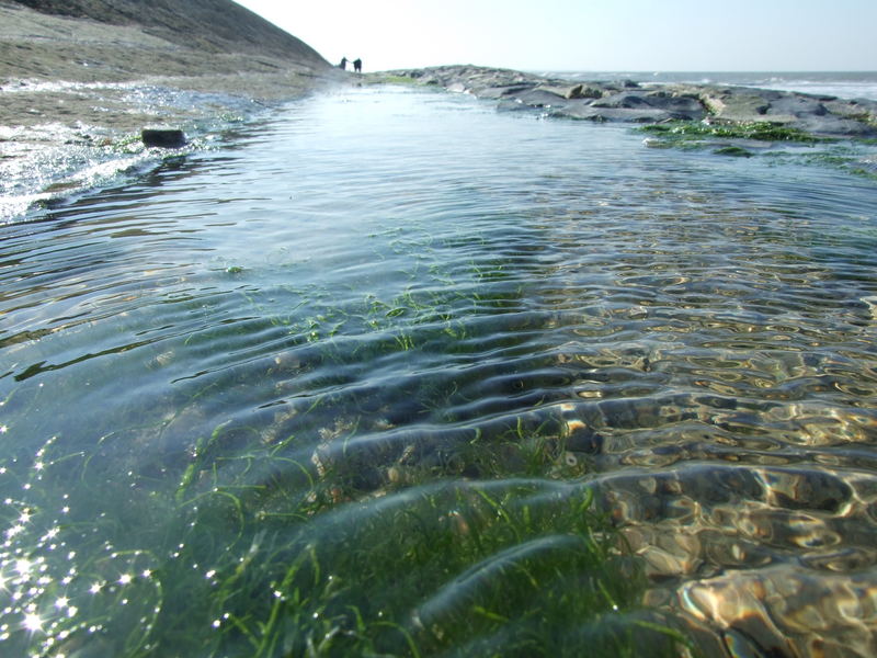 wasser auf ney