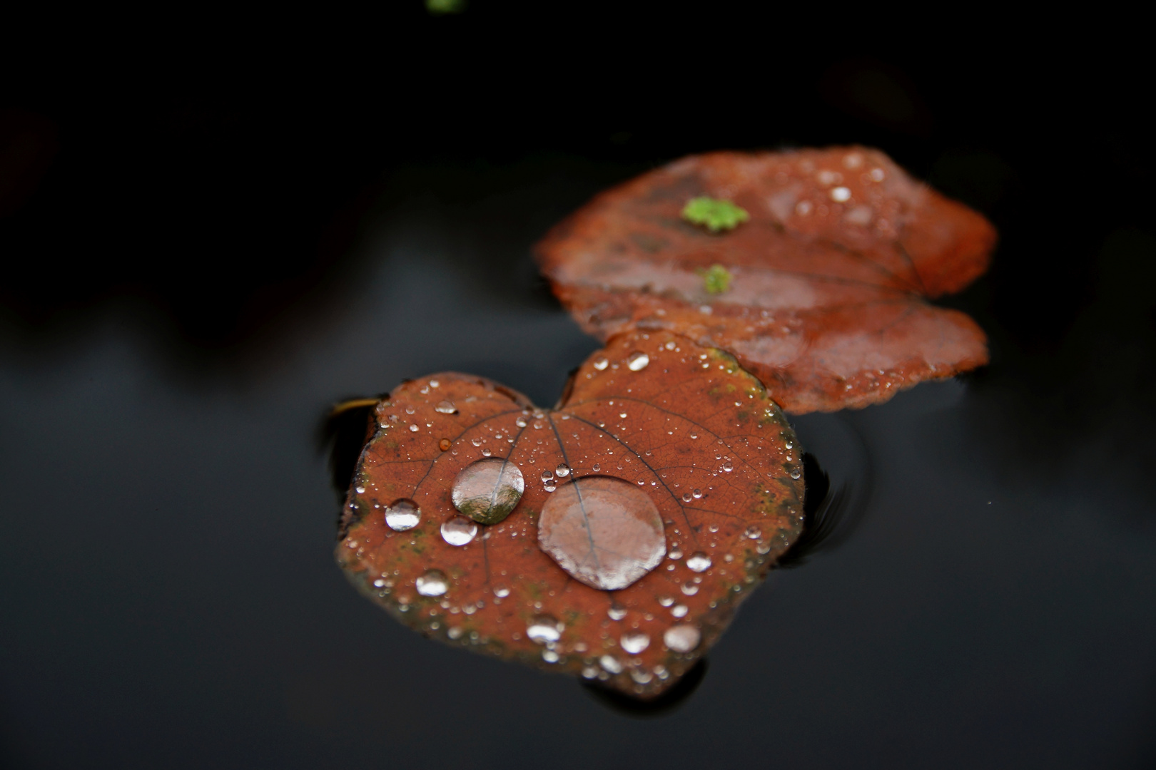 Wasser auf Wasser