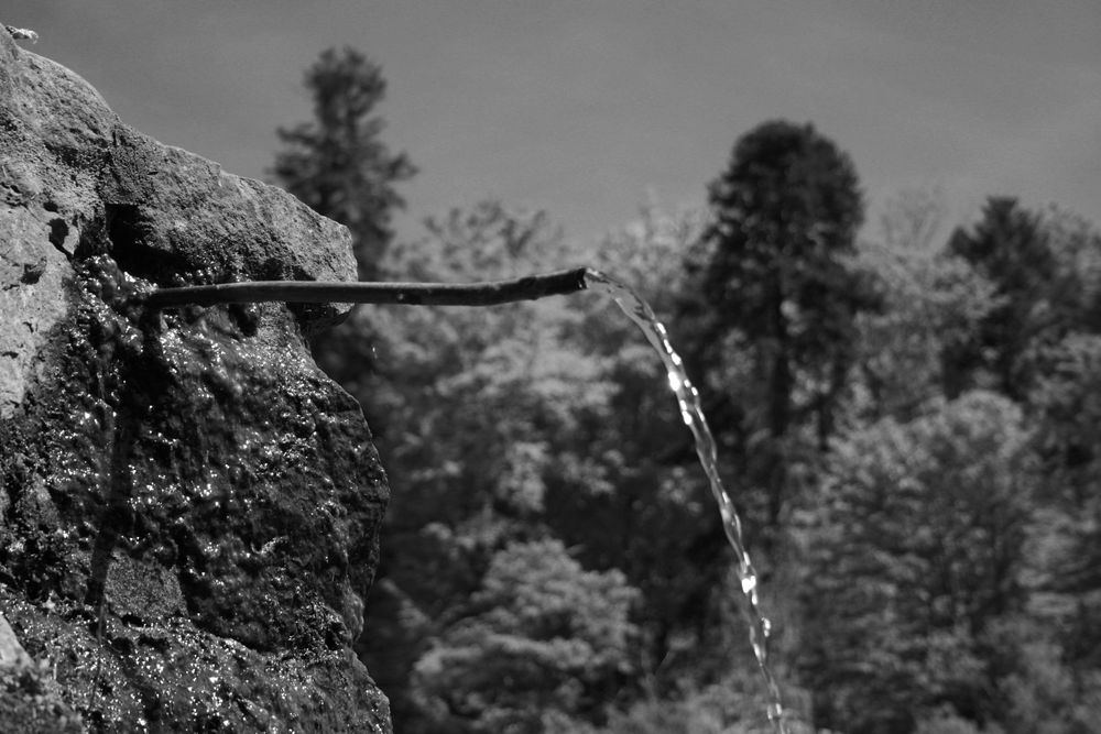 Wasser ausm Stein von A.René 