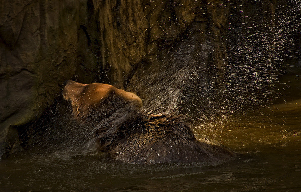 wasser ausschütteln