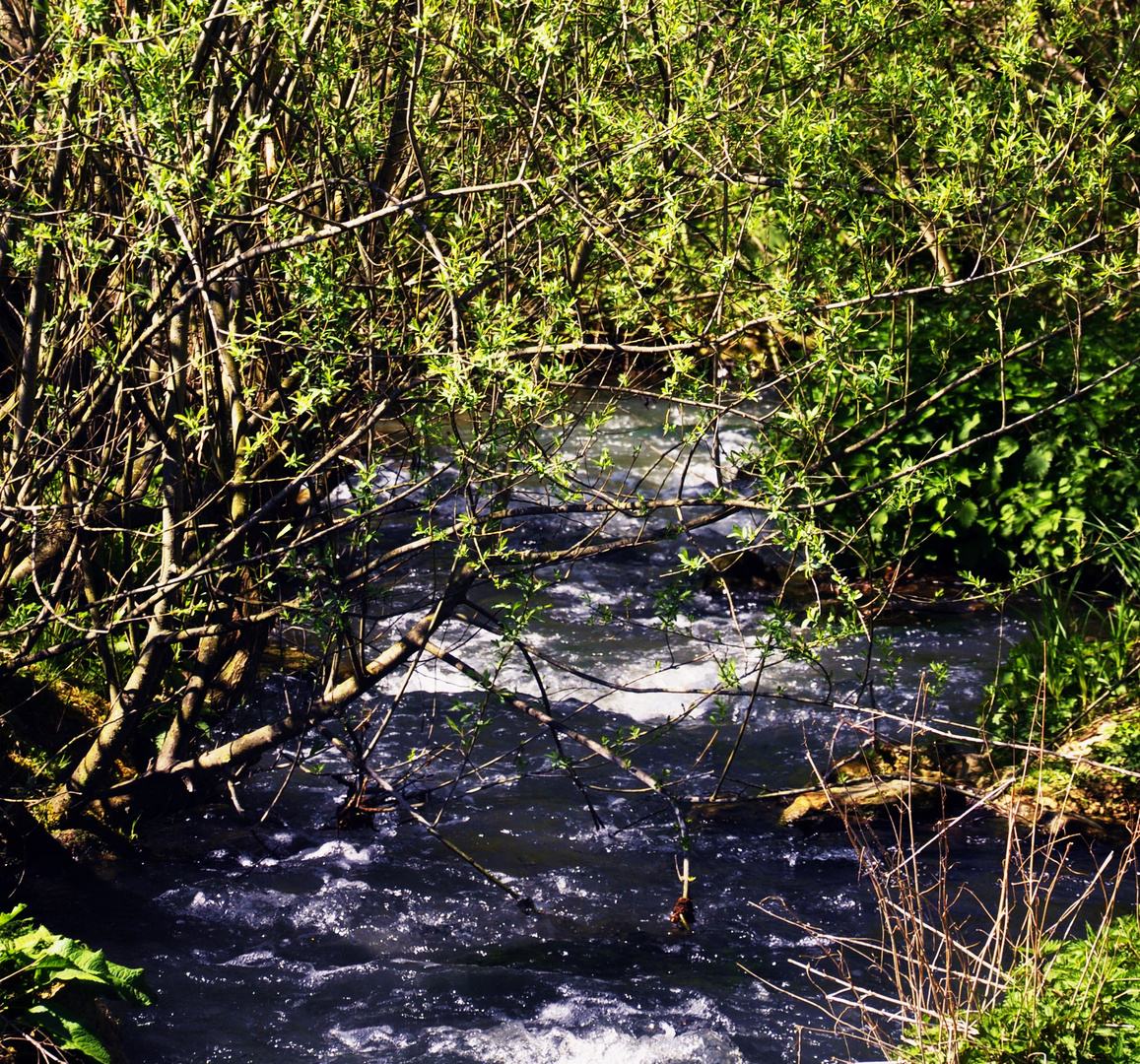 Wasser bahnt sich seinen Weg