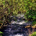 Wasser bahnt sich seinen Weg