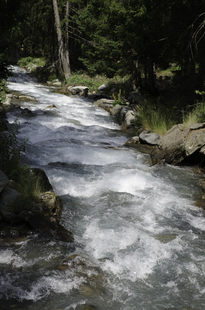 Wasser bahnt sich seinen Weg