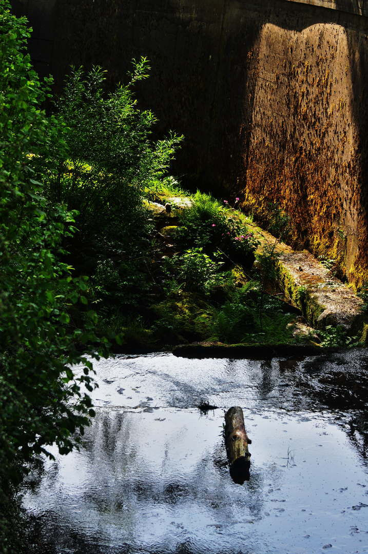 Wasser bahnt sich seinen Weg....