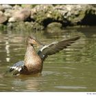 Wasser-Ballet 4.Akt