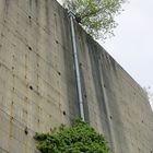 Wasser bedeutet Leben, auch an einem Bunker