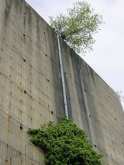 Wasser bedeutet Leben, auch an einem Bunker