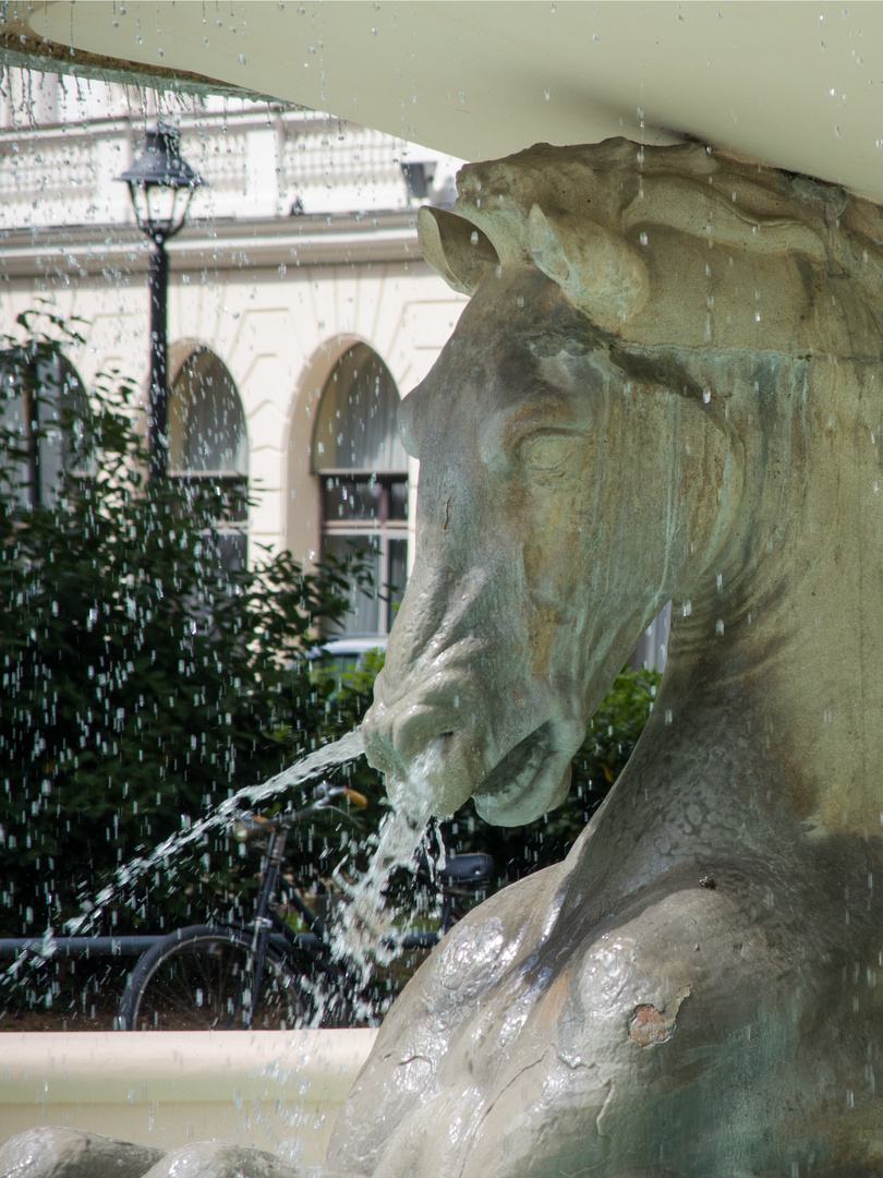 Wasser belebt Freizeit und Sinne