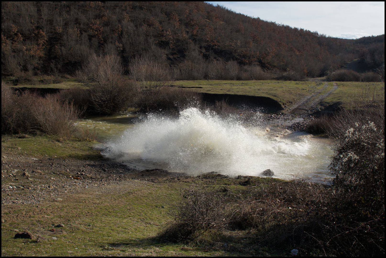 Wasser bewegt Dich