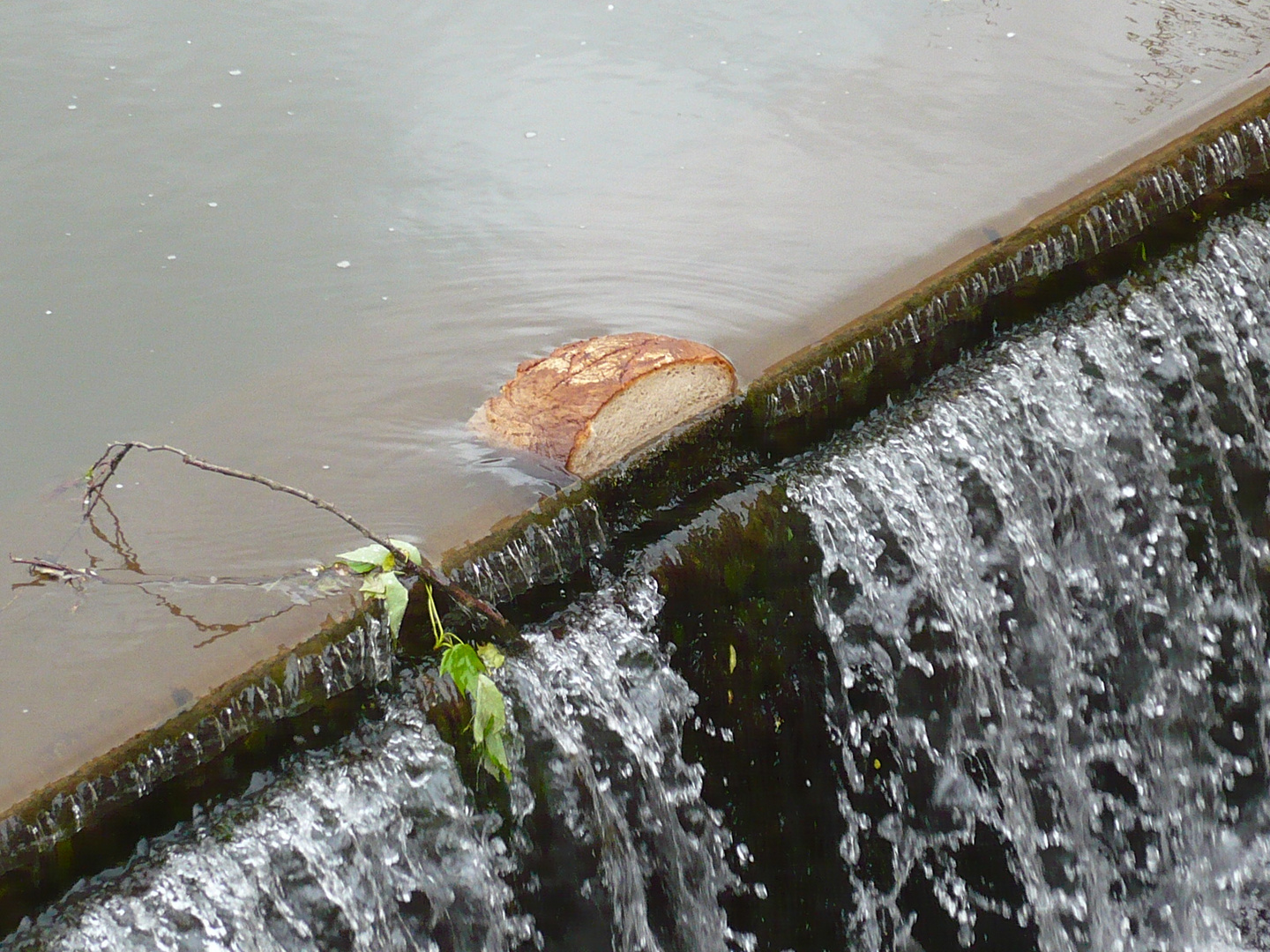 Wasser + Brot