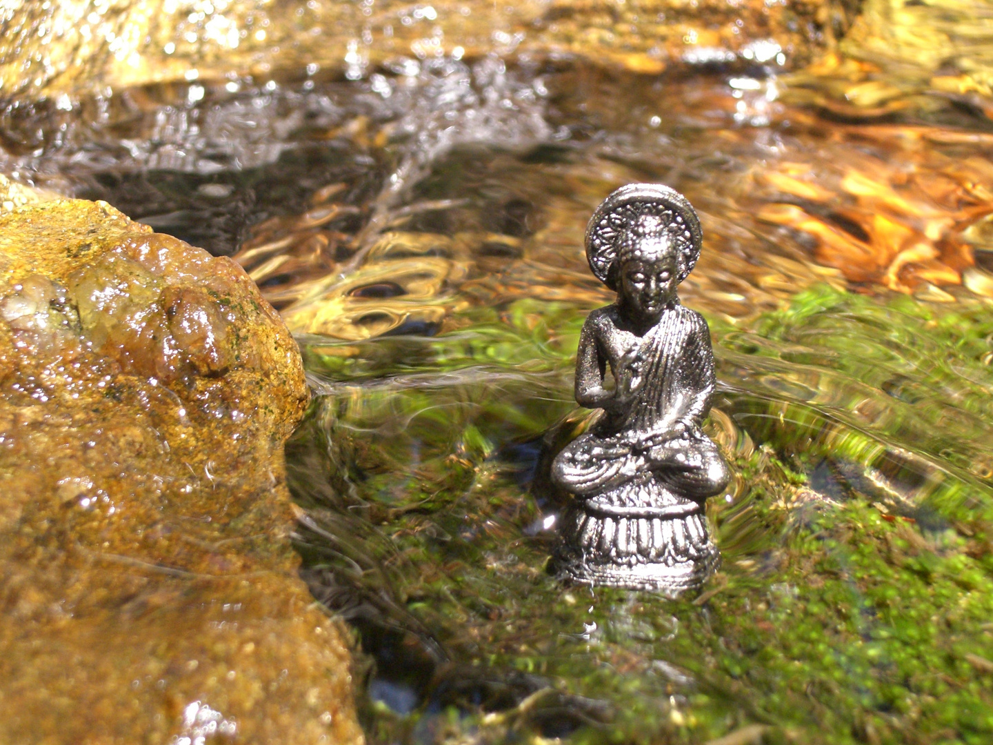 Wasser-Buddha-Wald-FOTO!