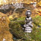 Wasser-Buddha-Wald-FOTO!