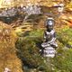 Wasser-Buddha-Wald-FOTO!