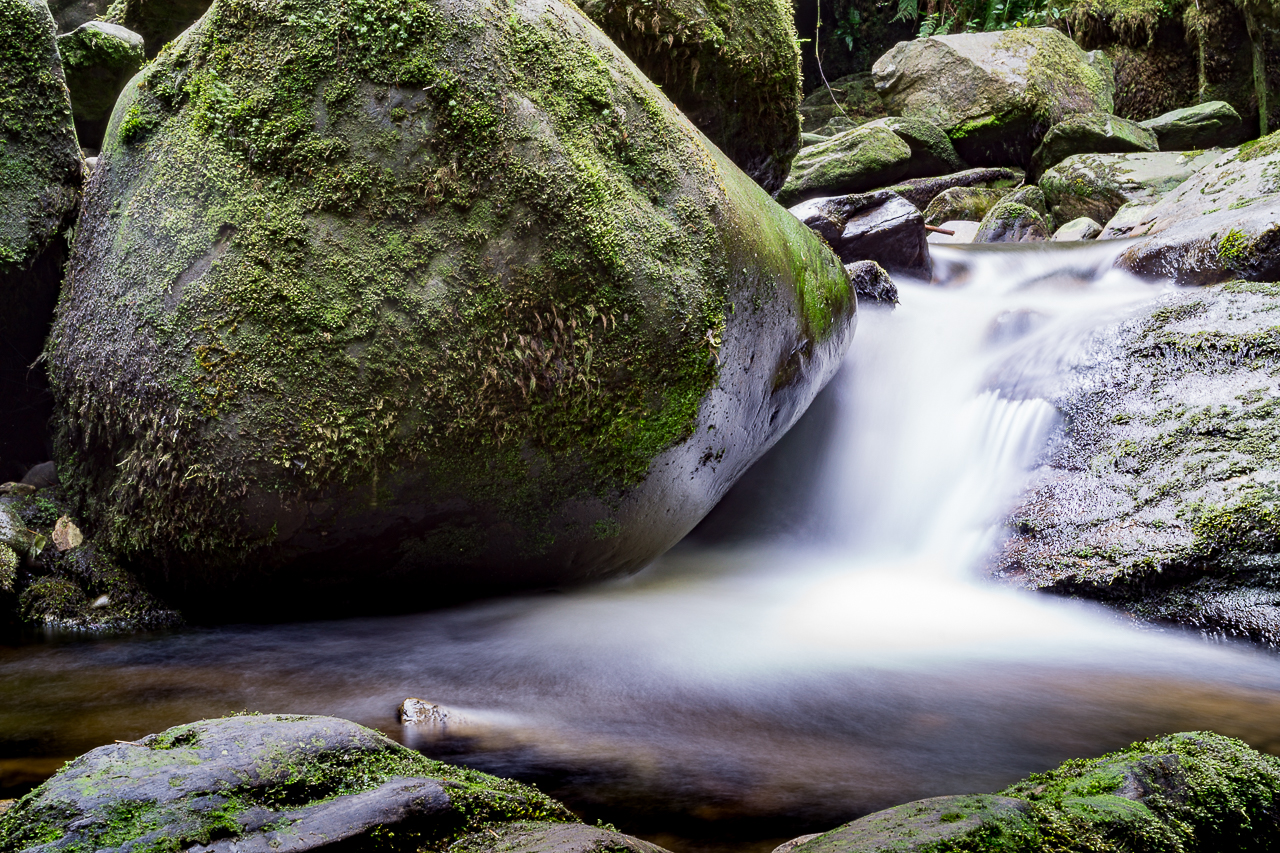 Wasser ....das Element